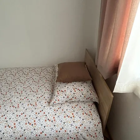 абаджийска *
