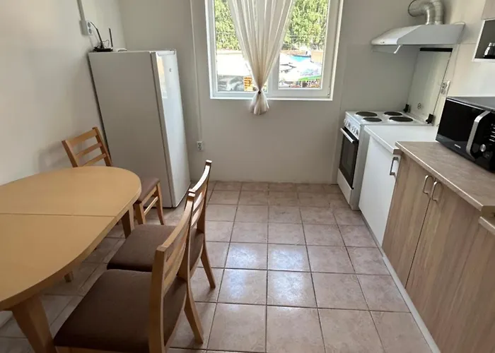 абаджийска *